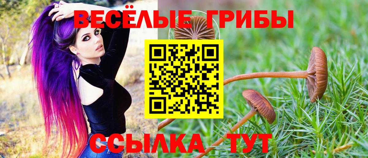 Псилоцибиновые грибы GOLDEN TEACHER Алатырь
