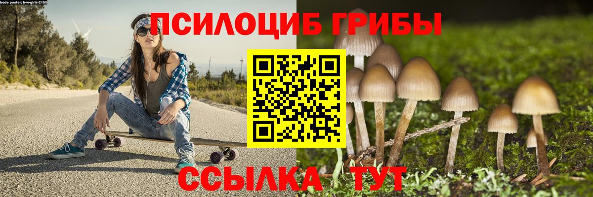 Псилоцибиновые грибы Psilocybine cubensis  Галлюциногенные грибы MAGIC MUSHROOMS  Вход с VPN  Алатырь 